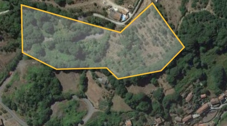 Asturias - Carabanzo - 20000m2