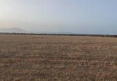 Non-developable land for sale on GR-6101, Guadix, ref: TR91429 photo