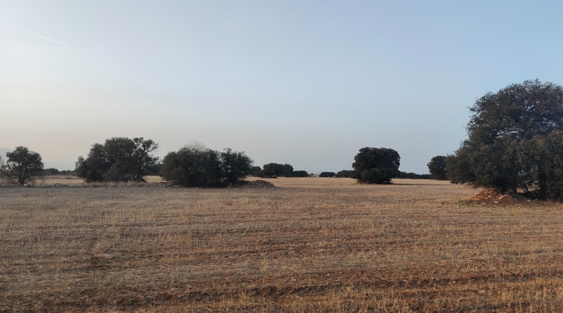 Granada - Guadix - 2000000m2