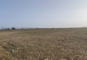 Non-developable land for sale on GR-6101, Guadix, ref: TR91429 photo