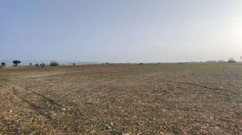 Granada - Guadix - 2000000m2