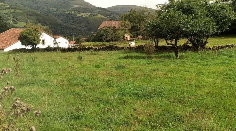 Cantàbria - San Vicente de Toranzo - 1925m2