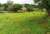 Parcel·la urbanitzable en venda a la San Vicente de Toranzo, ref.: TR91472 foto