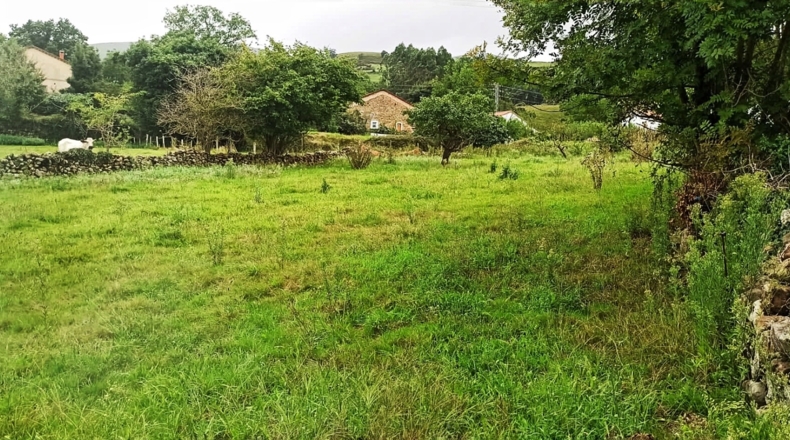 Cantàbria - San Vicente de Toranzo - 1925m2