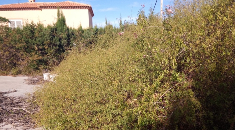 Valencia - Torrente - 618m2
