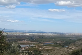 Foto 19