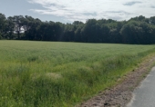 Non-developable land for sale on As Pegas, ref: TR91577 photo