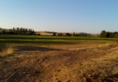 Non-developable land for sale on poligono 539 parcela 40, Torquemada, ref: TR91592 photo