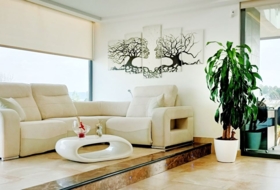 Caravaca de la Cruz 5000&nbsp;m² 