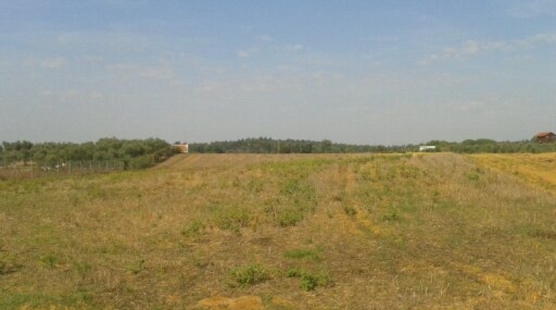 Huelva - Villarrasa - 7566m2