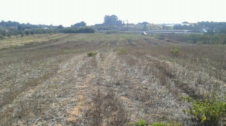 Huelva - Villarrasa - 7566m2