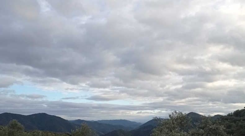 Córdoba - Pozoblanco - 109000m2