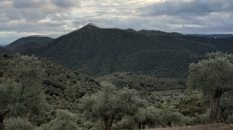 Córdoba - Pozoblanco - 109000m2