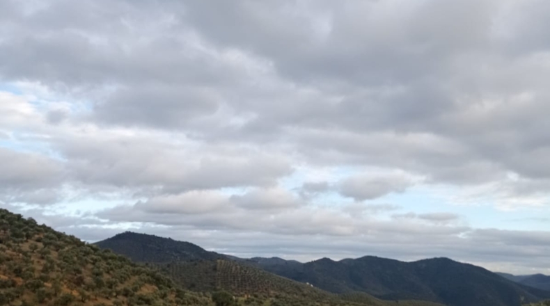 Córdoba - Pozoblanco - 109000m2