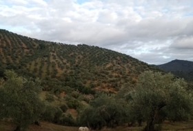 Foto 18