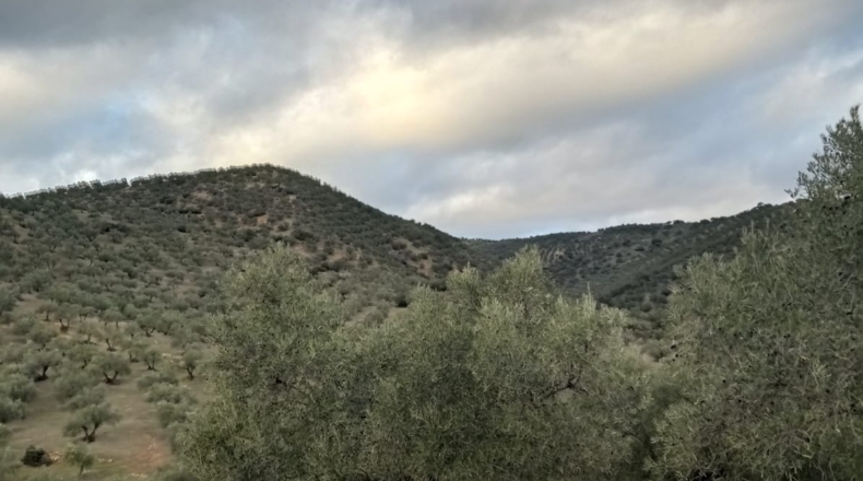 Córdoba - Pozoblanco - 109000m2