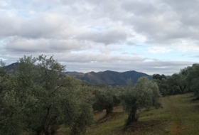 Foto 20