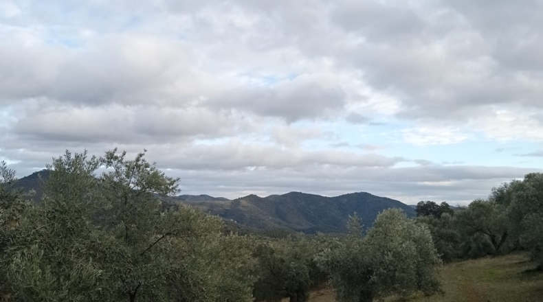 Córdoba - Pozoblanco - 109000m2