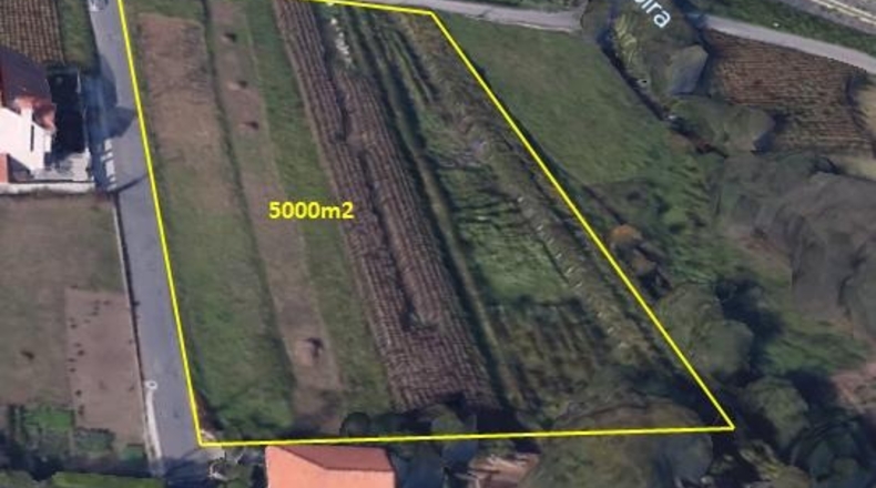 Pontevedra - Bexe - 5000m2