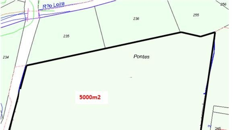 Pontevedra - Bexe - 5000m2