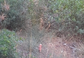 Sòl urbà en venda a la Carrer del Doctor Zamenhof, Riells del Fai, ref.: TR91804 foto