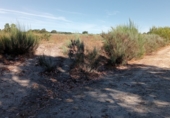 Terreno no urbanizable en venta en la Garabelos, Baltar, ref: TR91816 foto