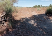 Terreno no urbanizable en venta en la Garabelos, Baltar, ref: TR91816 foto