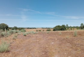 Baltar 15010&nbsp;m² 