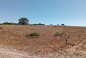 Garabelos 49500&nbsp;m² 