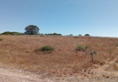 Non-developable land for sale on Garabelos, ref: TR91815 photo