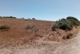 Garabelos 49500&nbsp;m² 
