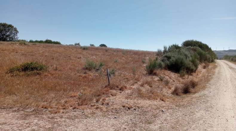 Orense - Garabelos - 49500m2