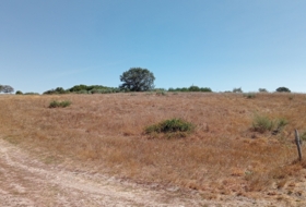 Garabelos 49500&nbsp;m² 