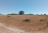 Non-developable land for sale on Garabelos, ref: TR91815 photo