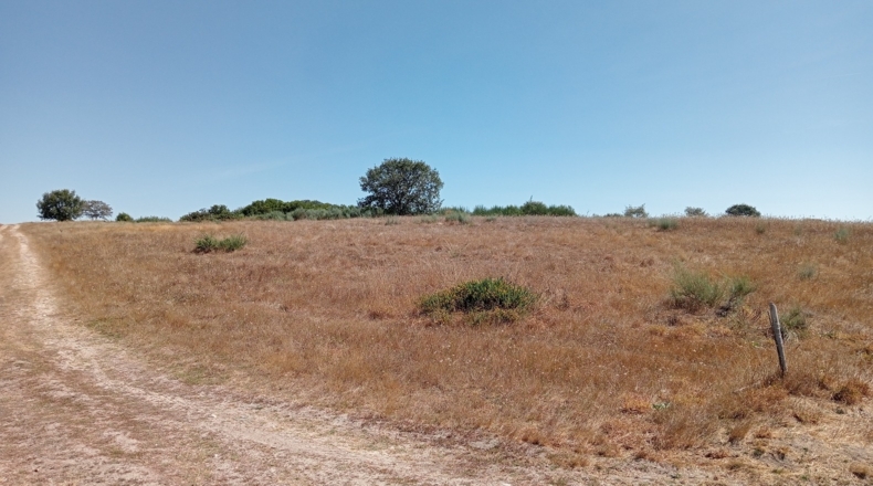 Orense - Garabelos - 49500m2