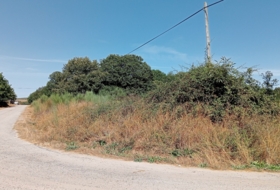 Garabelos 13060&nbsp;m² 