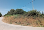 Non-developable land for sale on Garabelos, ref: TR91814 photo