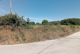 Garabelos 13060&nbsp;m² 