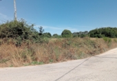Non-developable land for sale on Garabelos, ref: TR91814 photo