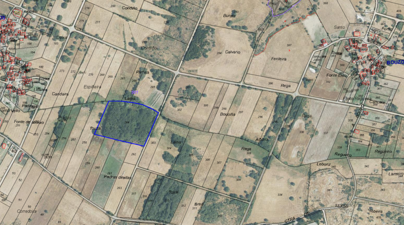 Orense - Baltar - 21440m2
