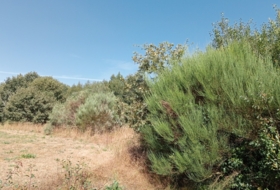Garabelos 21440&nbsp;m²