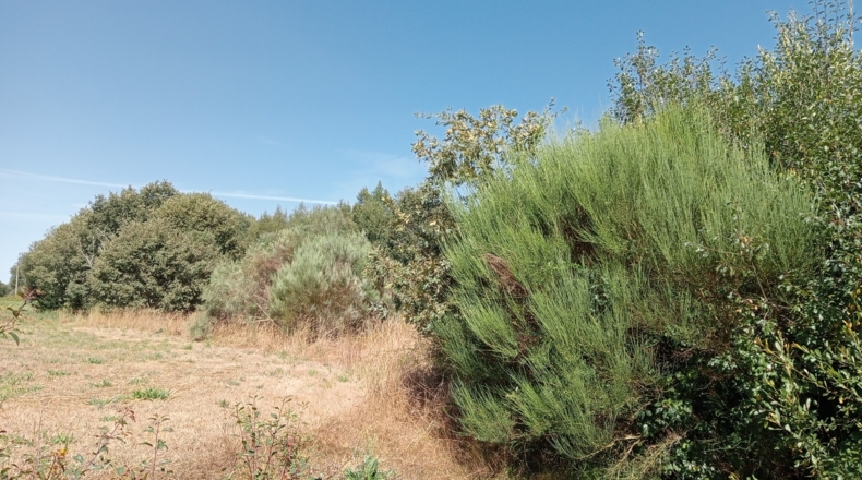 Orense - Baltar - 21440m2