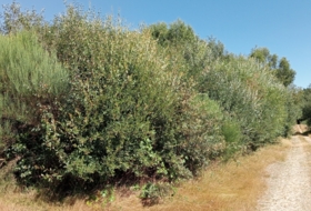 Garabelos 21440&nbsp;m²