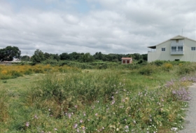Xinzo de Limia 19568&nbsp;м²