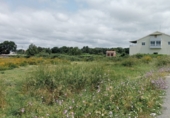 Non-developable land for sale on Camiño do depósito, Xinzo de Limia, ref: TR91812 photo