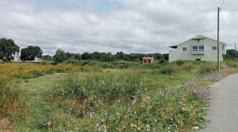 Orense - Ginzo de Limia - 19256m2