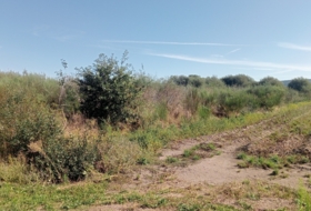 Vilaseca 10250&nbsp;m²