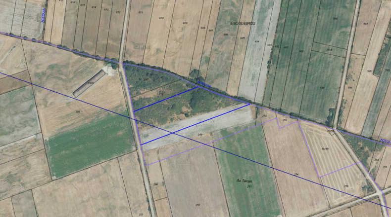 Orense - Lodoselo - 10250m2