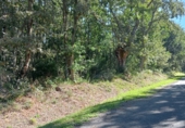 Non-developable land for sale on O Castro, ref: TR91810 photo