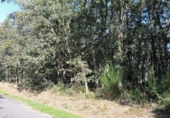 Non-developable land for sale on O Castro, ref: TR91810 photo